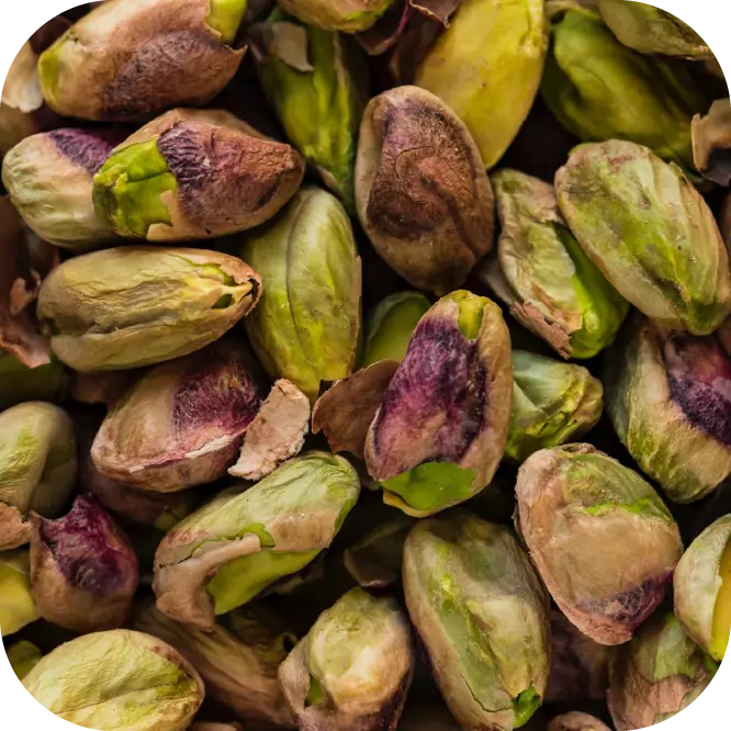 Pistachio
